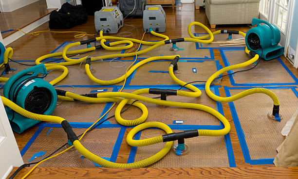 Professional Basement Flood Cleanup technician working in Ramona, SD
